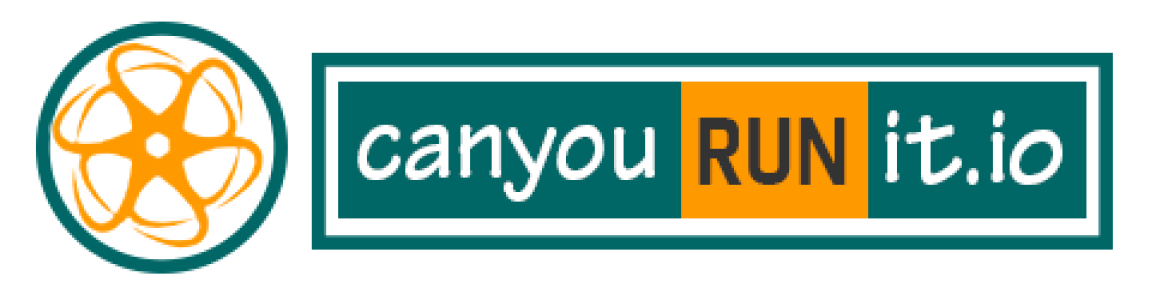 Can You Run It